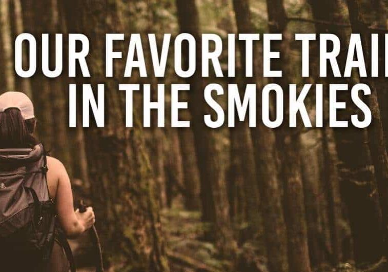 Our Favorite Trails in the Smokies
